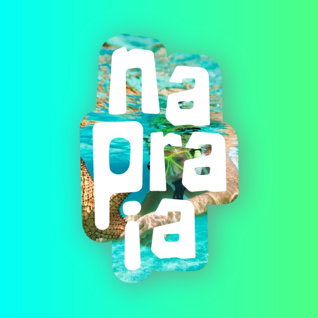 User's avatar