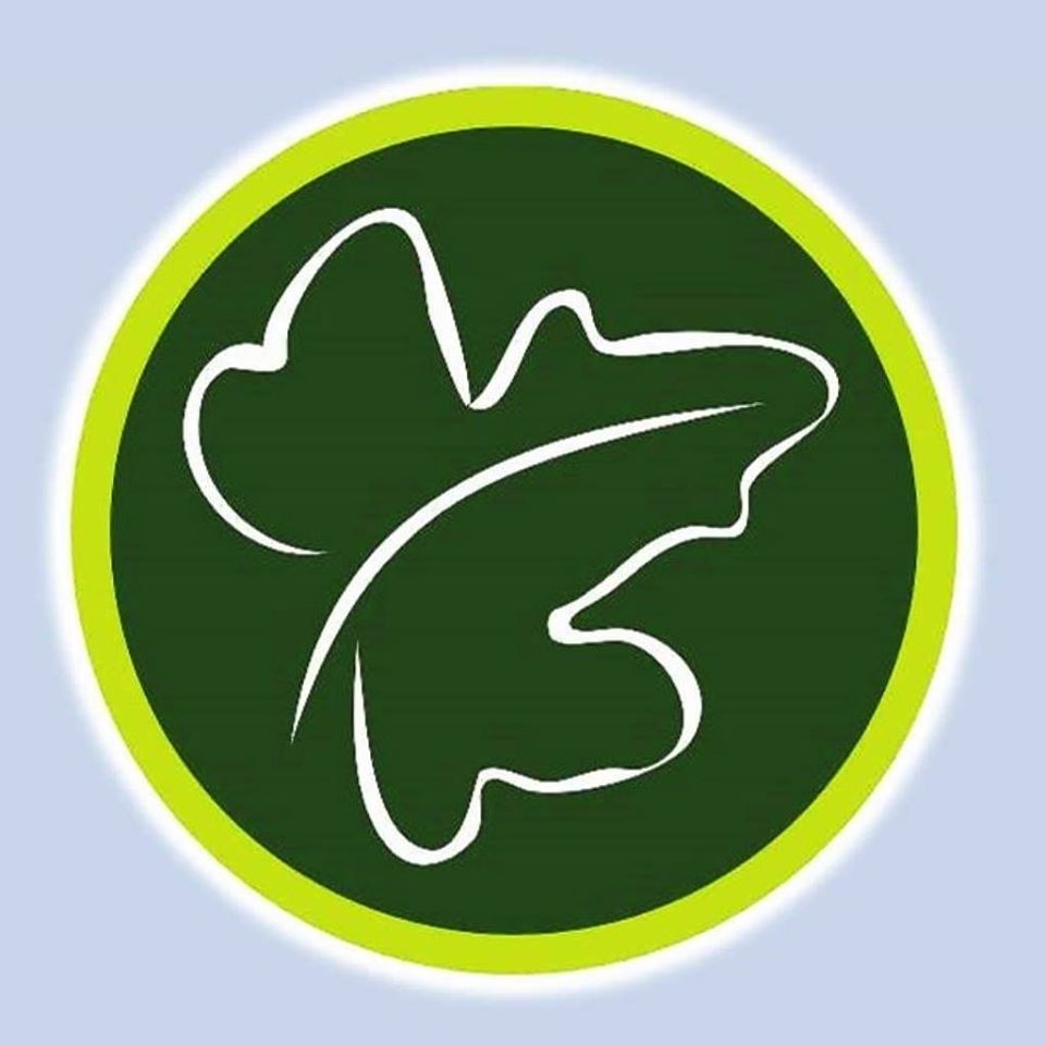 User's avatar