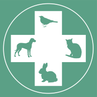 Avatar do usuário