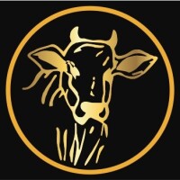 Avatar do usuário