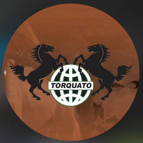 User's avatar