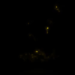 Avatar do usuário