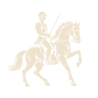 Avatar do usuário
