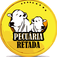 Avatar do usuário