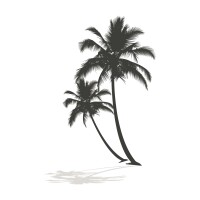 Avatar do usuário