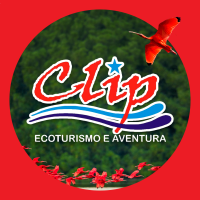 Avatar do usuário
