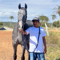 Avatar do usuário