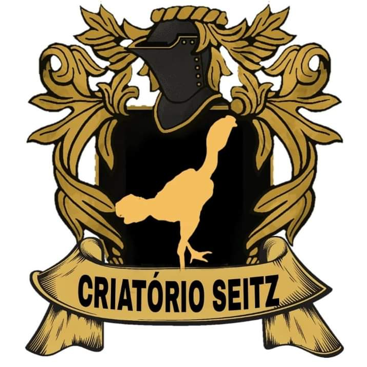 User's avatar