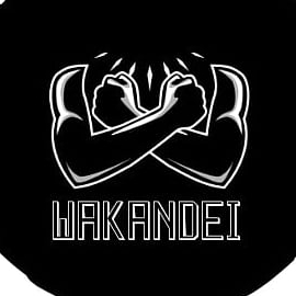 User's avatar