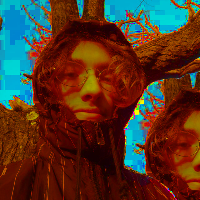 User's avatar
