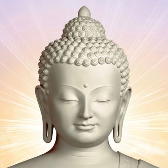 User's avatar
