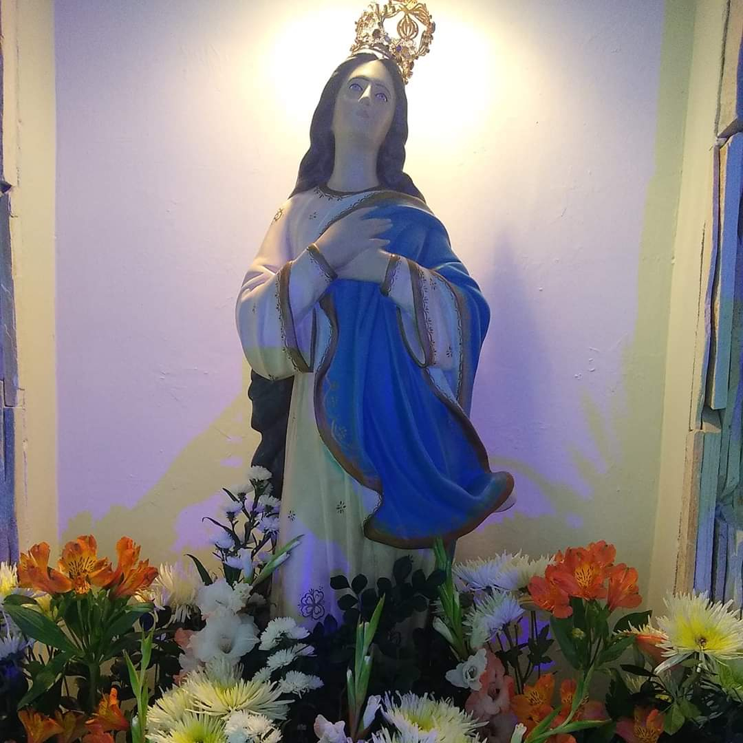 Avatar do usuário