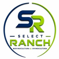 Avatar do usuário