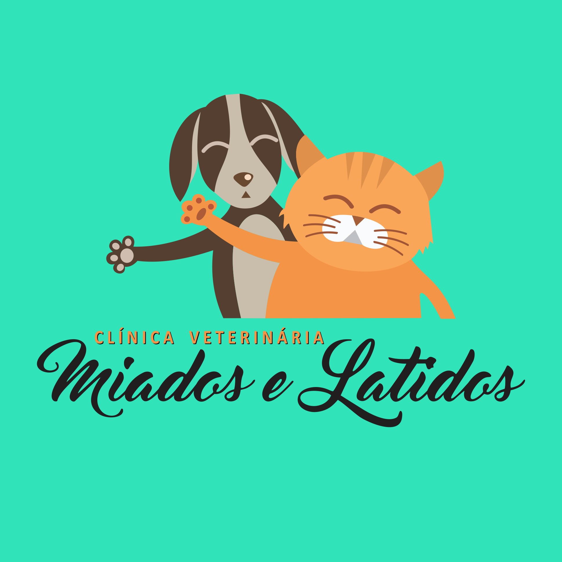 User's avatar