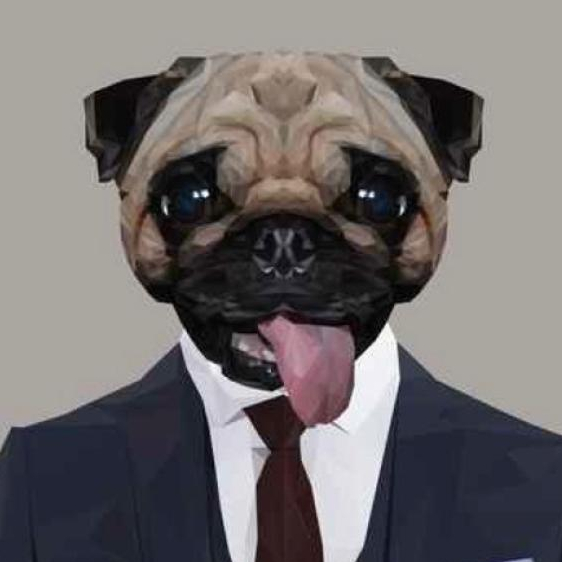 User's avatar