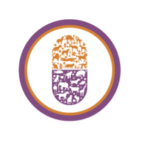 Avatar do usuário
