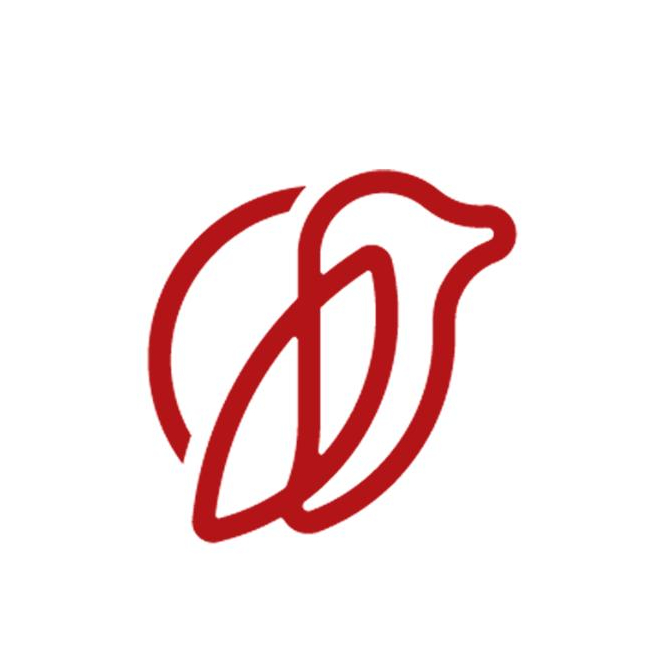 User's avatar