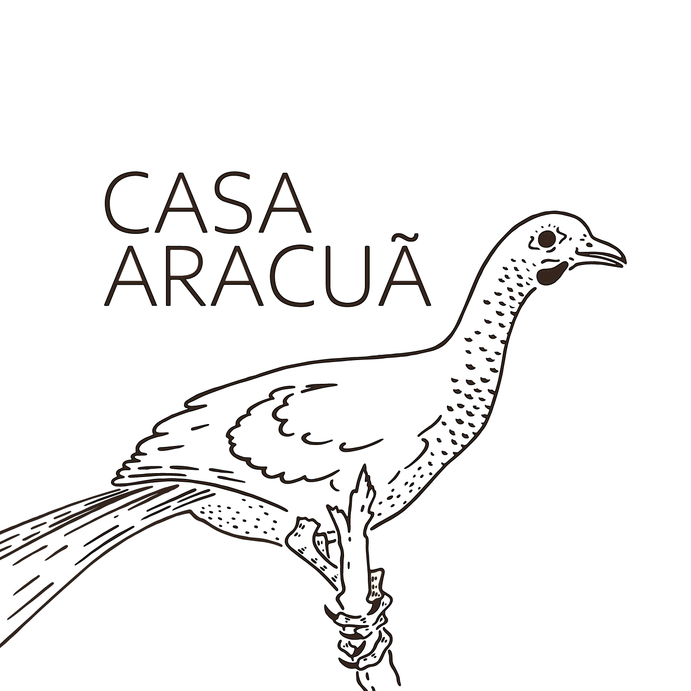Avatar do usuário