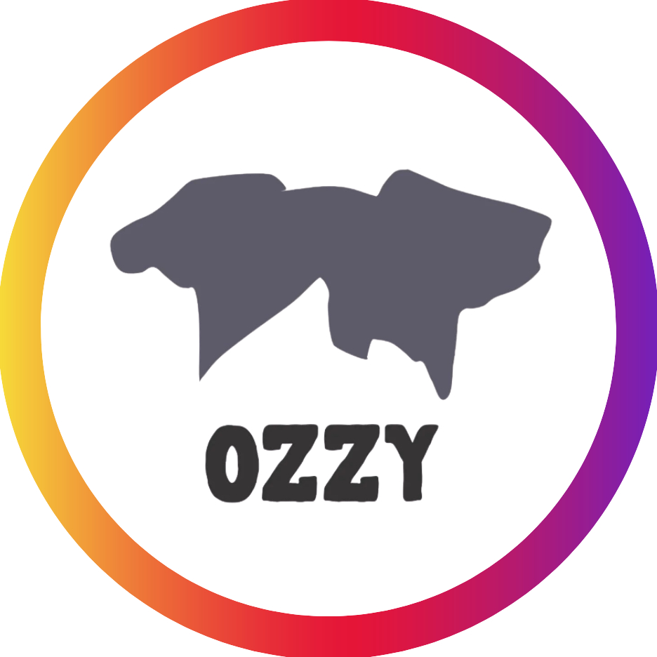 User's avatar