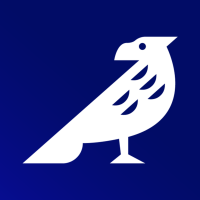 Avatar do usuário