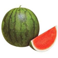 Avatar do usuário