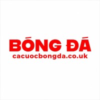 Avatar do usuário