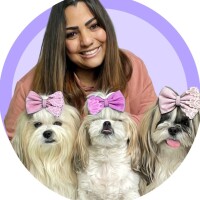 User's avatar